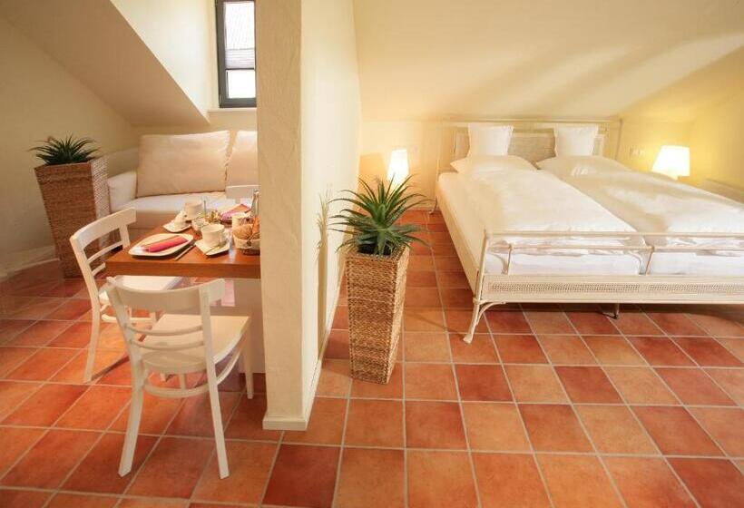 带1个卧室的公寓, Vinotel Augustin