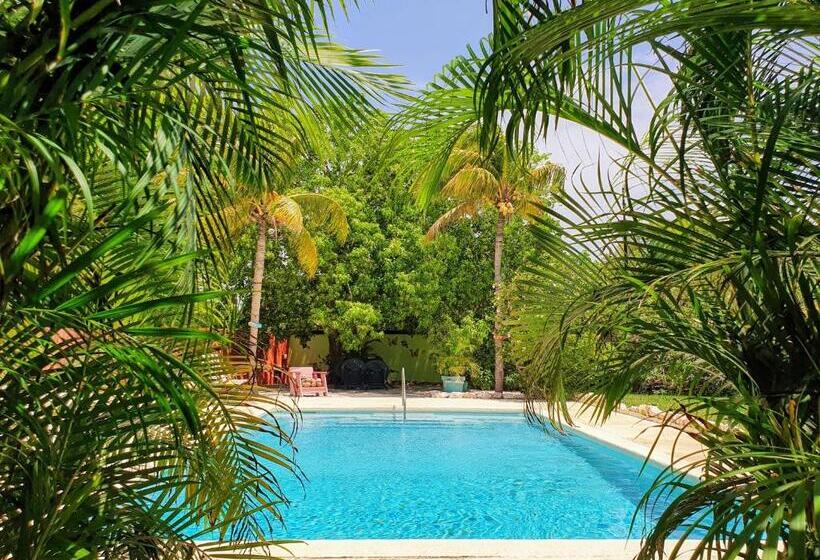 اتاق استاندارد با تراس, Abaai Resort B&b