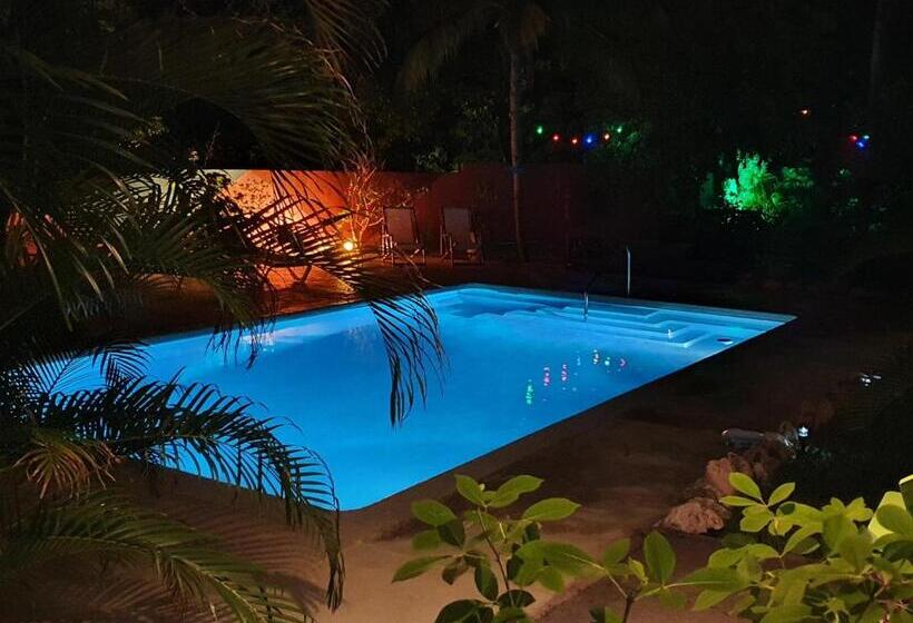 اتاق استاندارد با تراس, Abaai Resort B&b