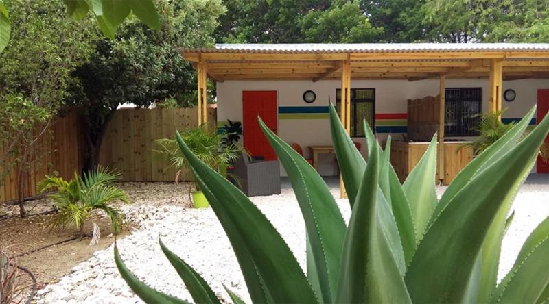 اتاق استاندارد با تراس, Abaai Resort B&b