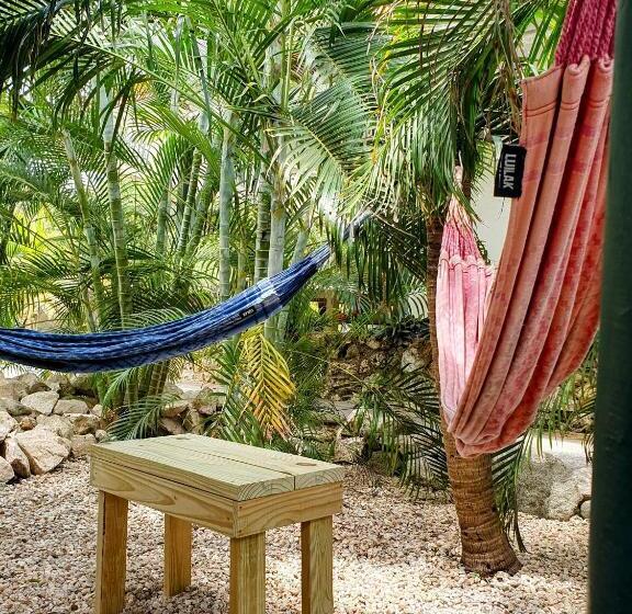 اتاق استاندارد با تراس, Abaai Resort B&b