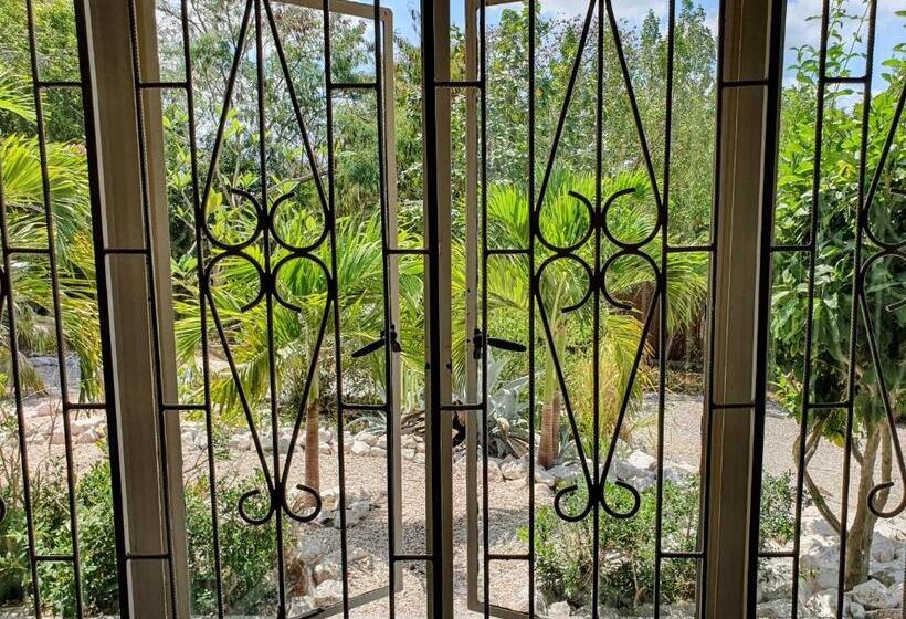 اتاق استاندارد با چشمانداز باغ, Abaai Resort B&b