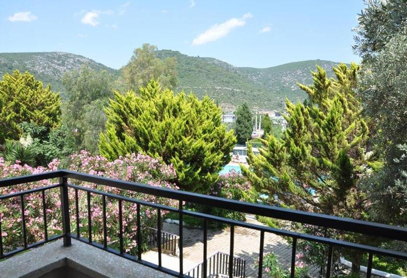 Номер Стандарт, Pi̇gale Beach Resort