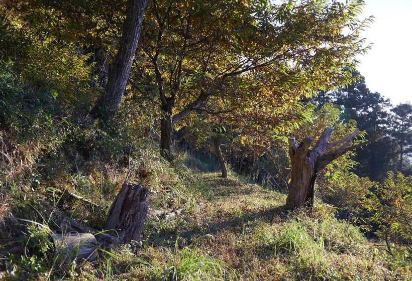 1间卧室的房子, Small Hotel Tonari