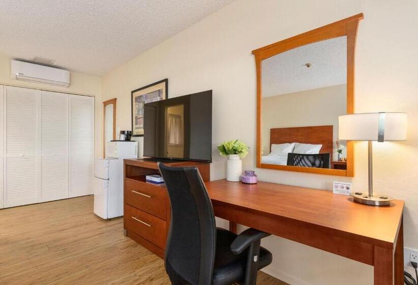 스탠다드 룸 킹사이즈 침대, Konocti Harbor Resort