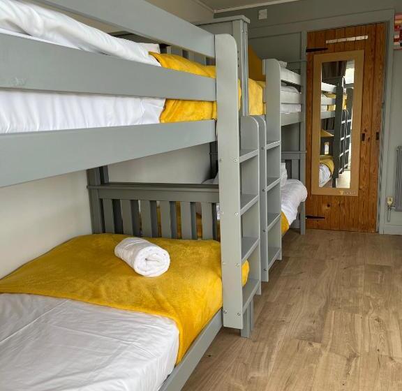 غرفة قياسية رباعية, Elemental Surf Lodge