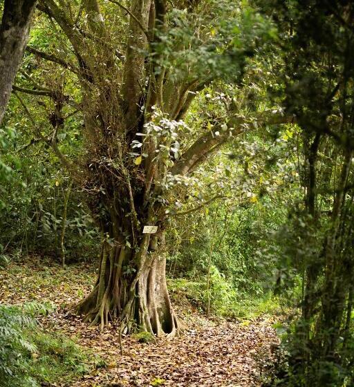 غرفة ديلوكس, Niebli Historical Farm And Lodge At Pululahua Volcano