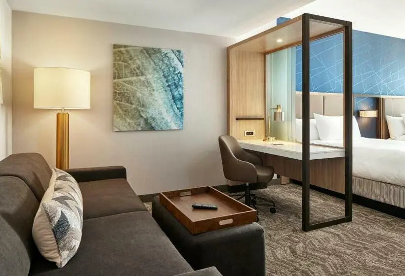 クイーンサイズベッドのスイートルーム, Springhill Suites By Marriott Frederica