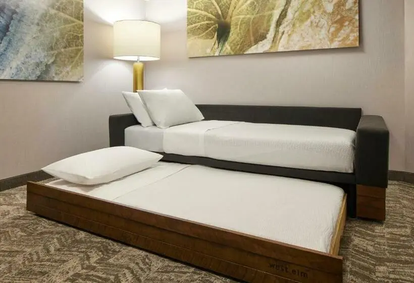 クイーンサイズベッドのスイートルーム, Springhill Suites By Marriott Frederica