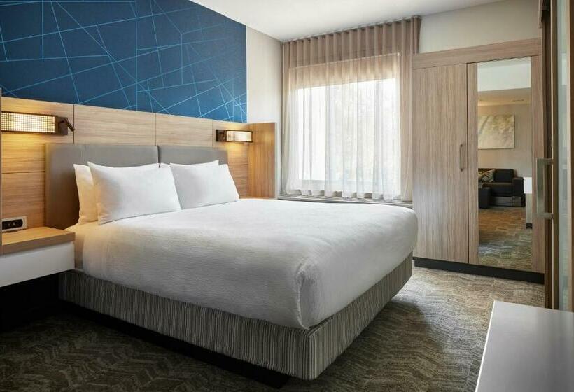 Люкс Кровать Кинг, Springhill Suites By Marriott Frederica
