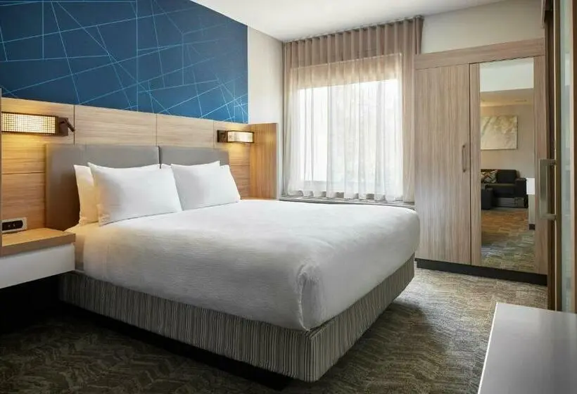 キングサイズベッドのスイートルーム, Springhill Suites By Marriott Frederica