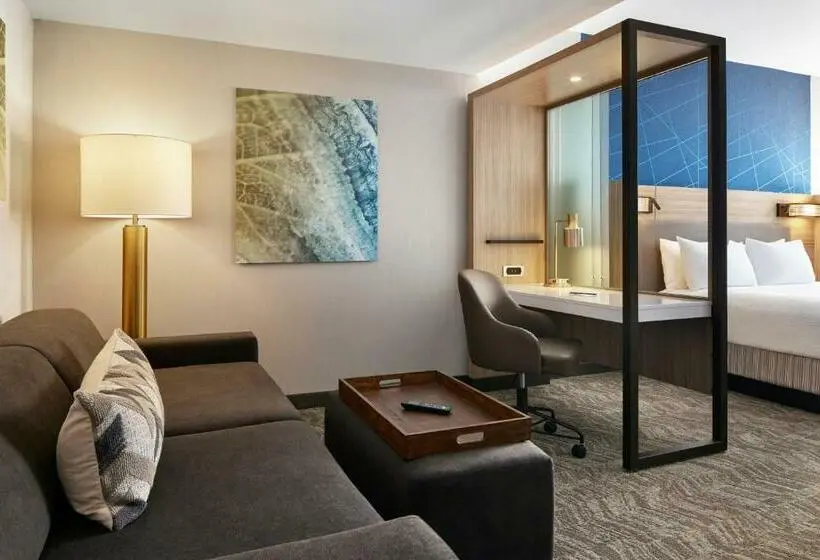 キングサイズベッドのスイートルーム, Springhill Suites By Marriott Frederica