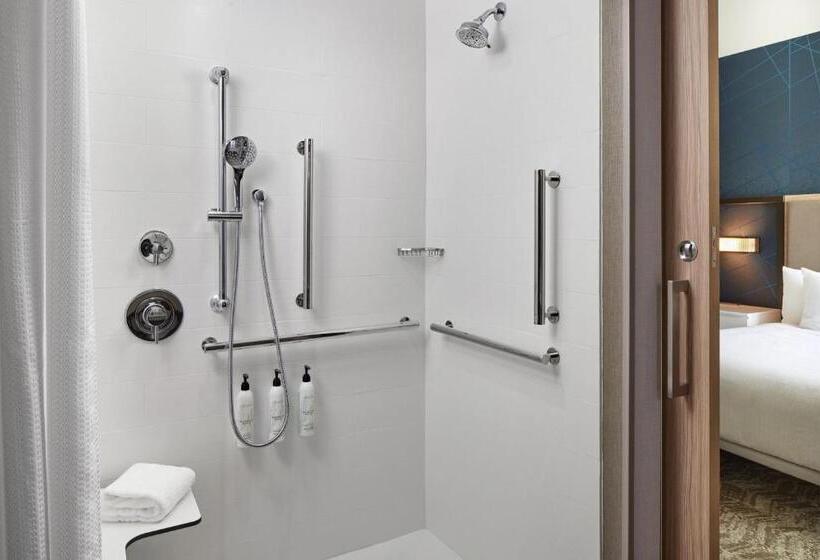 جناح سرير ملكى, Springhill Suites By Marriott Frederica