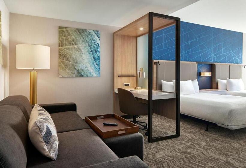 جناح سرير ملكى, Springhill Suites By Marriott Frederica