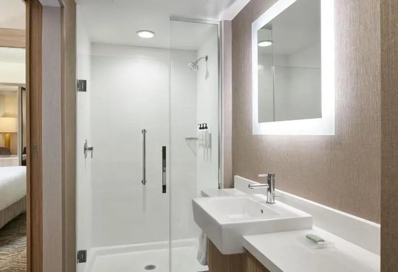 キングサイズベッドのスイートルーム, Springhill Suites By Marriott Frederica