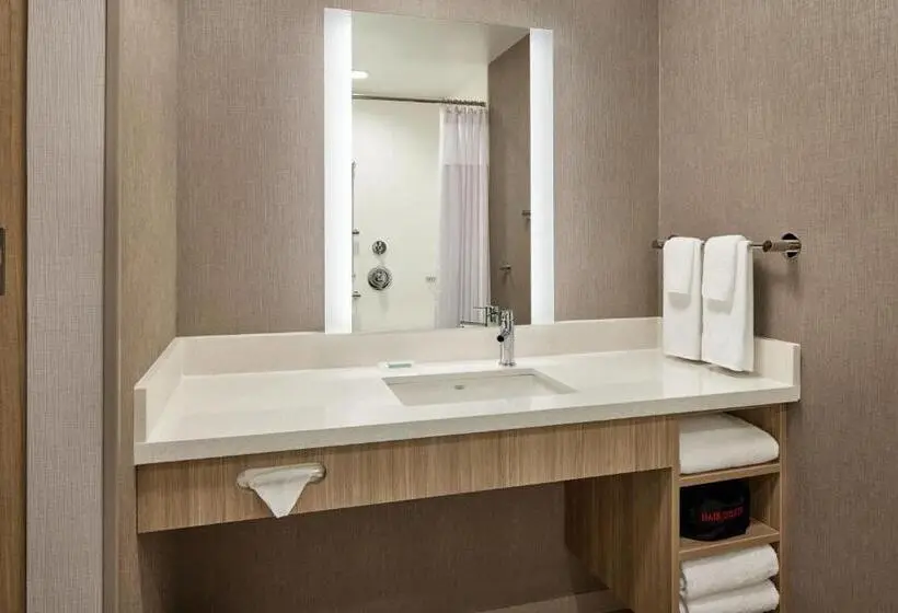 キングサイズベッドのスイートルーム, Springhill Suites By Marriott Frederica