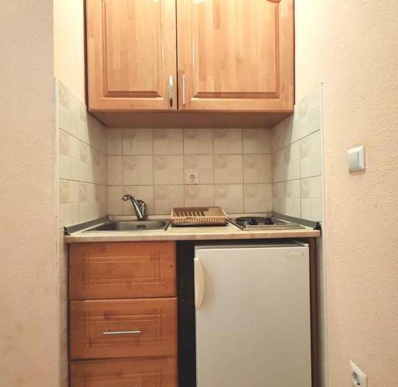 استودیو استاندارد با بالکن, Apartments Draženka