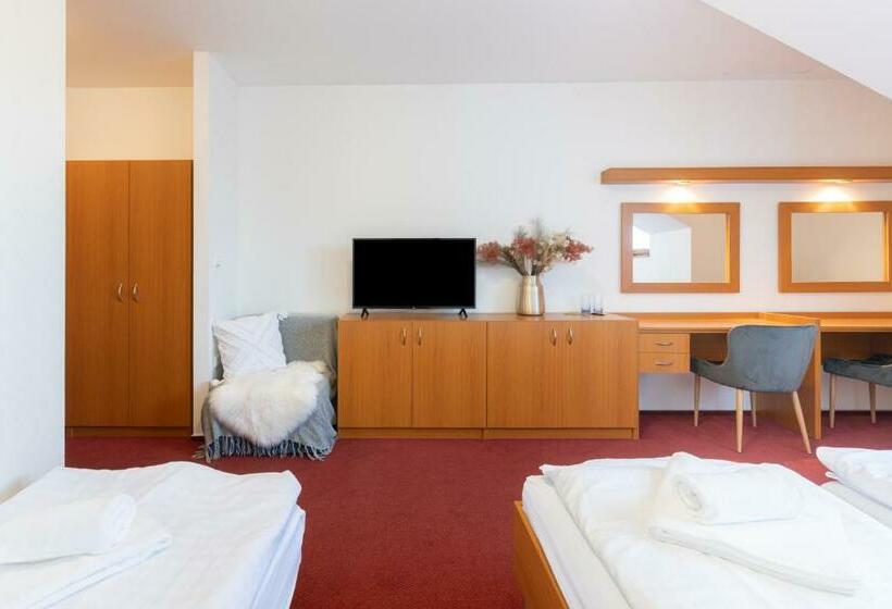 トリプルクラシックルーム, Penzion Jas