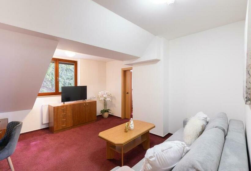 带1个卧室的公寓, Penzion Jas