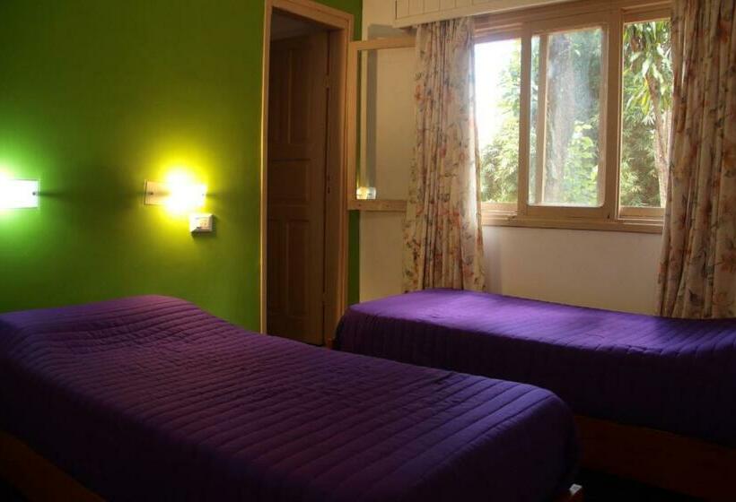 اتاق استاندارد سه نفره, Ito Cultural