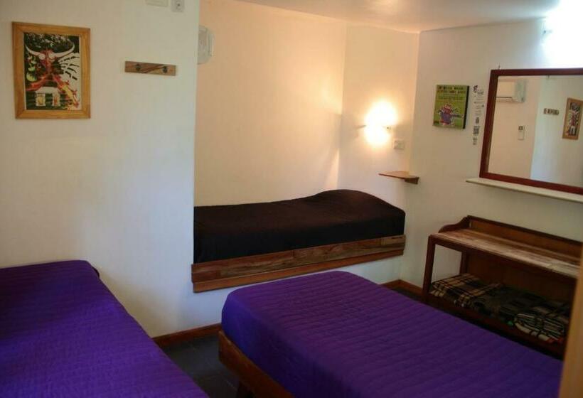 اتاق استاندارد سه نفره, Ito Cultural