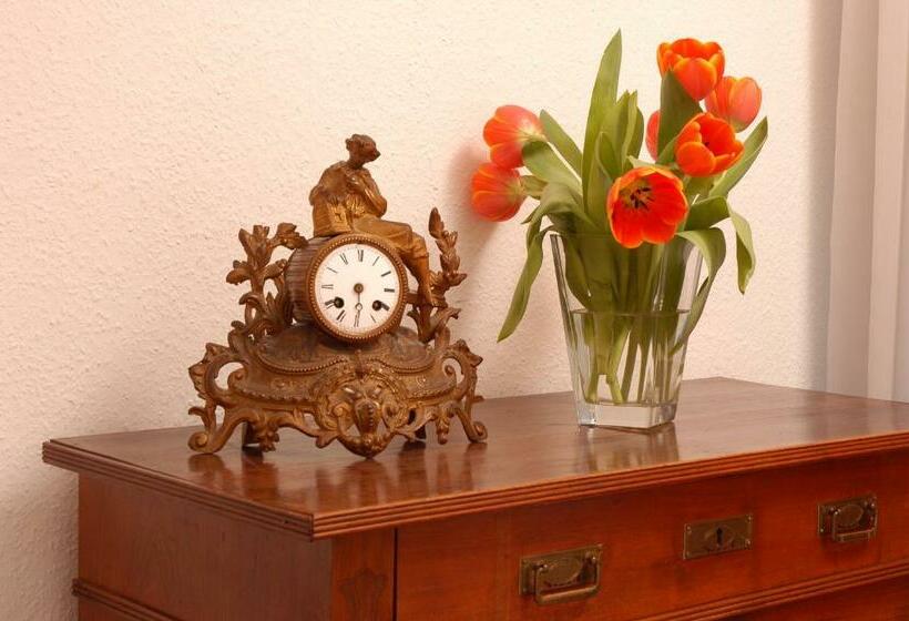 标准单人间, Frauenhotel Hanseatin   Women Only