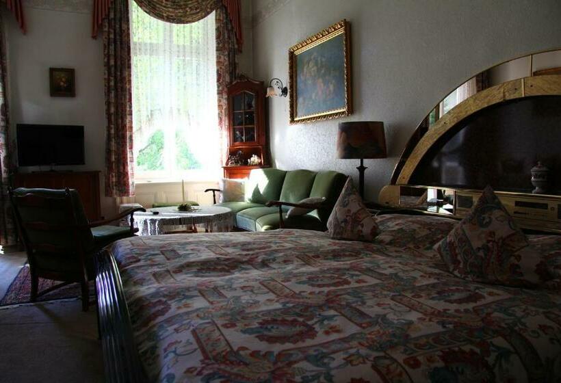 豪华房间, Pension Fink