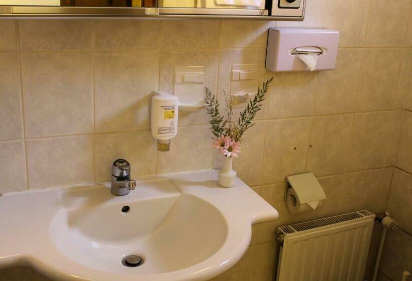 غرفة قياسية, Fährhaus Ziehl