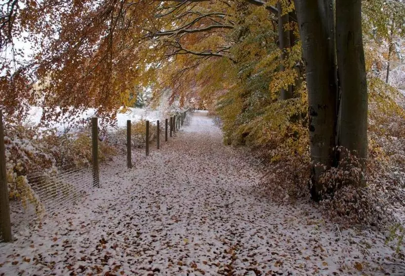 اتاق استاندارد یک نفره, Gasthof Jägerheim