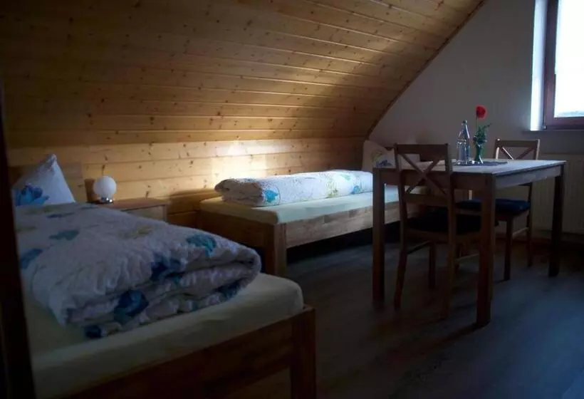 آپارتمان دوبلکس 1 خوابه, Gasthof Jägerheim
