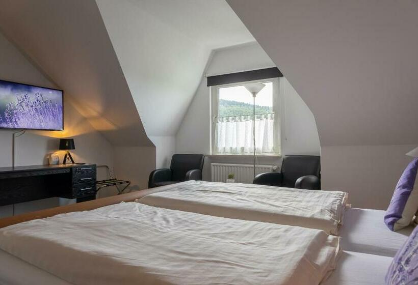 스탠다드 룸, Landhaus Nordenau