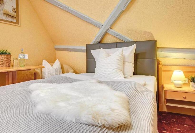 스탠다드 싱글 룸, Mühlhäuser Hof Und Stadtmauer