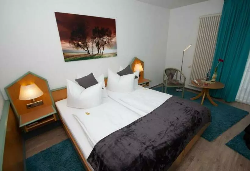 スーペリアシングルルーム, Paulin Hotel Trier