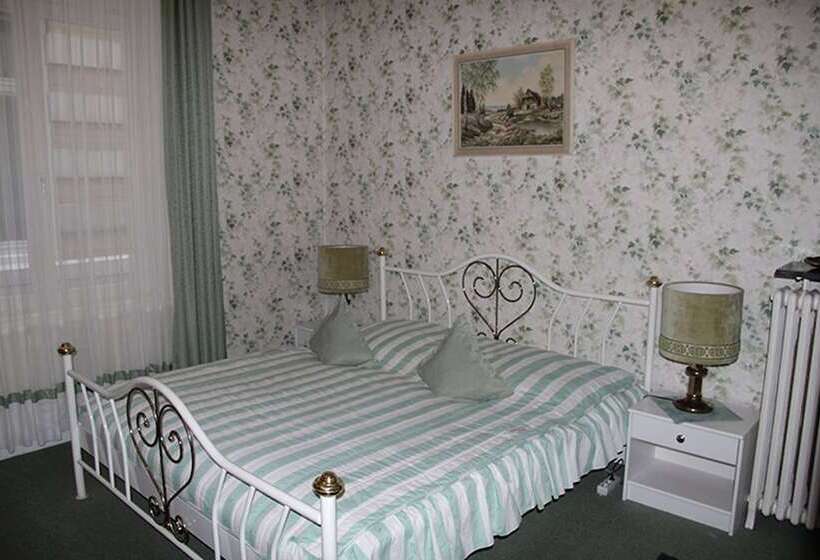 标准间, Pension Fink