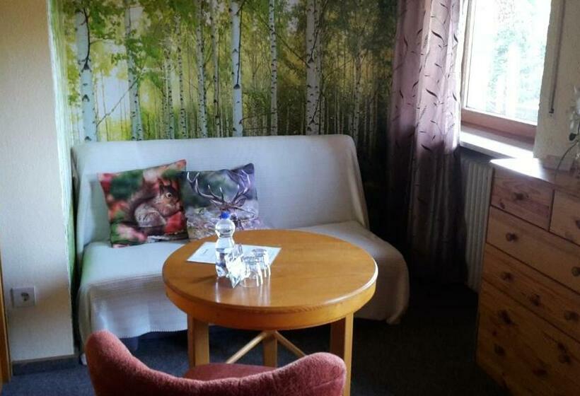 Standard-huone, Pension Schatzkisterl