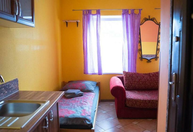 スタンダードシングルルーム, Pension Sxf