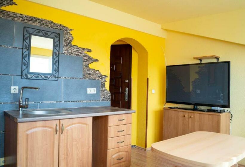 スタンダードルーム, Pension Sxf