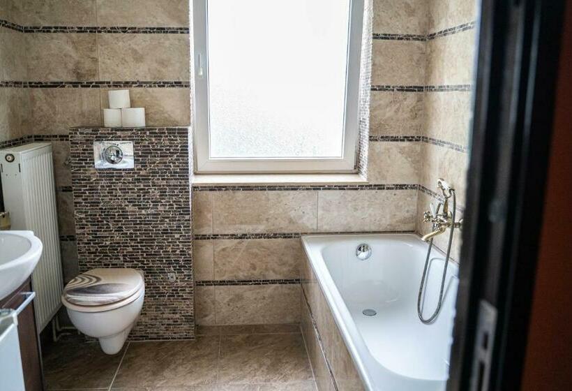 スタンダードシングルルーム, Pension Sxf