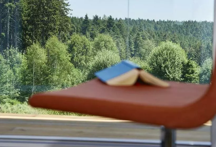 バルコニー付きシングルスタンダードルーム, Schwarzwald Lodge Rothaus