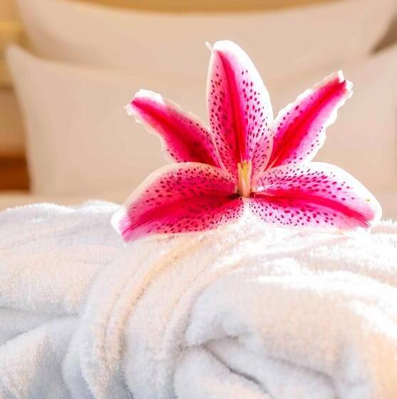 스탠다드 발코니 룸, Seeschloss Sellin