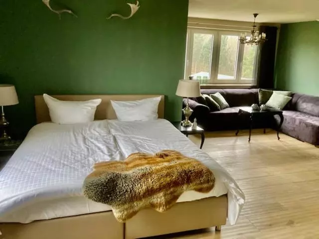 ビュー有りのスタンダードワンルーム, Landhotel Flora & Fauna
