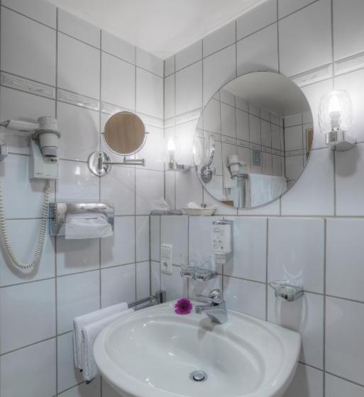 اتاق سوپریور, Paulin Hotel Trier