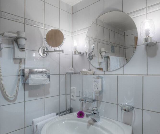 اتاق سوپریور یک تخته, Paulin Hotel Trier