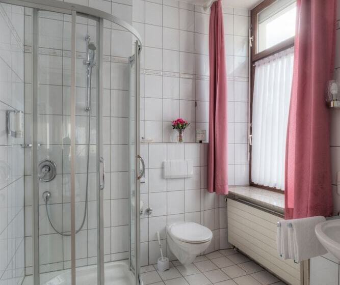 غرفة قياسية, Paulin Hotel Trier