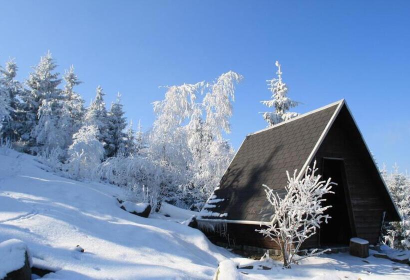 חדר סטנדרט יחיד, Pension Hotel Sartor