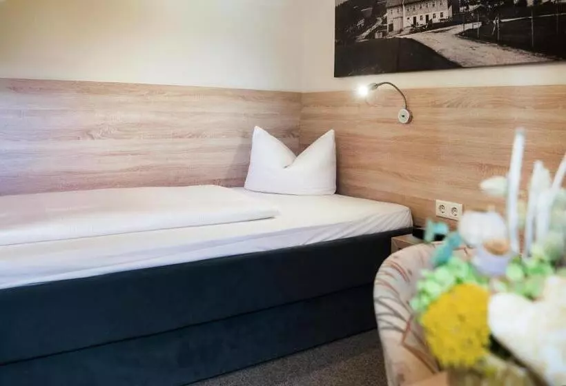 スタンダードシングルルーム, Pension Hotel Sartor