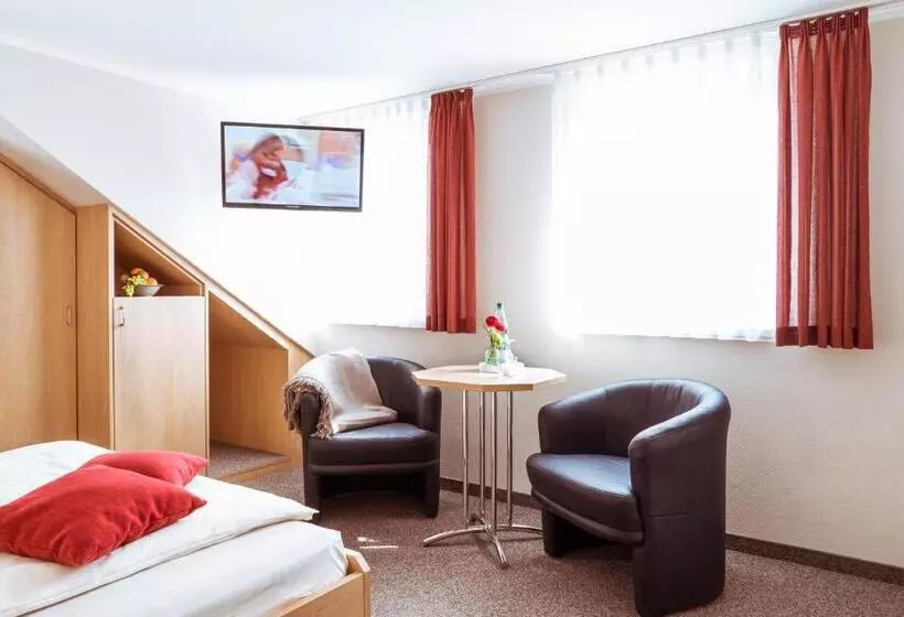 スタンダードシングルルーム, Pension Hotel Sartor