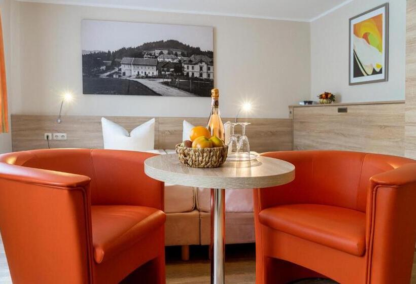 חדר סטנדרט, Pension Hotel Sartor