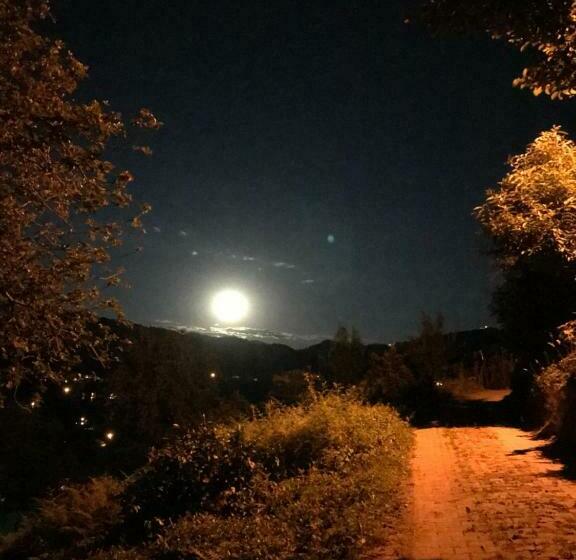 جناح, My World Bungalov