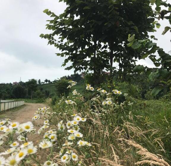 套房, My World Bungalov